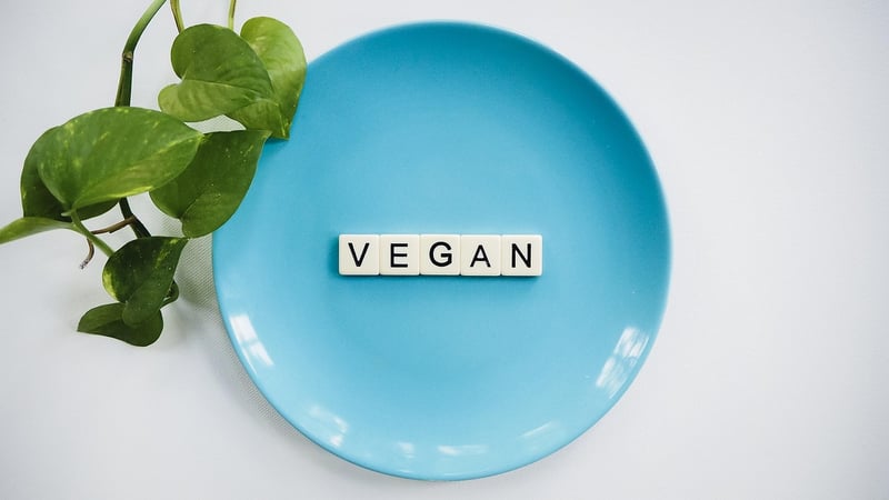 Plant-based Dishes